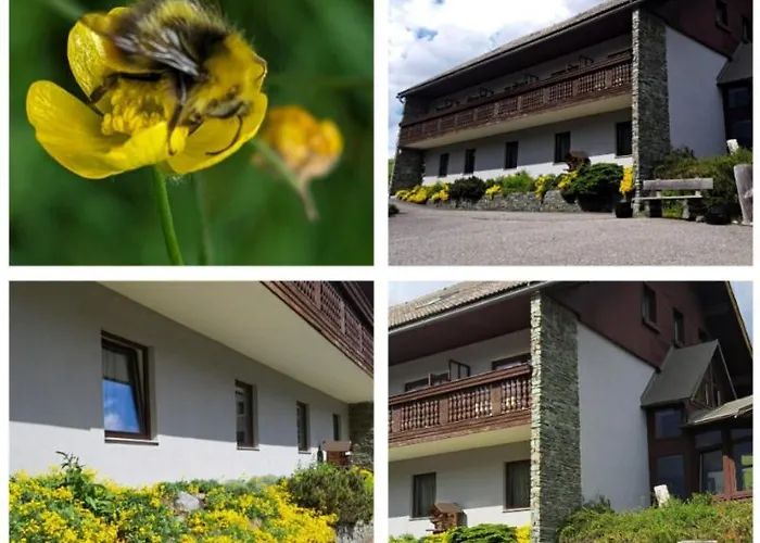 Draxlerhaus Hotel 3*