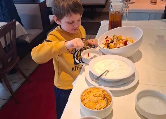 Draxlerhaus Hotel 3*